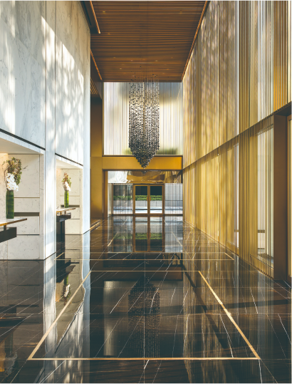 homepage-third-murray